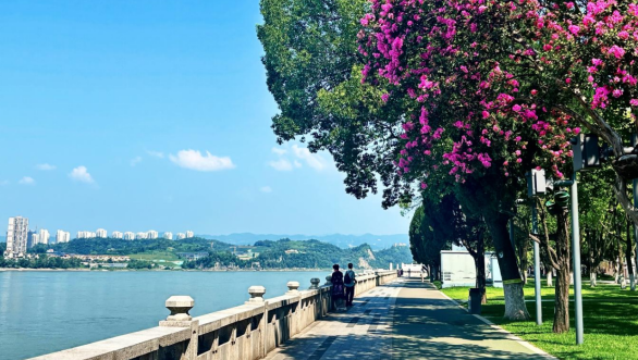 汗水浇灌城市绿，清凉致敬守护者